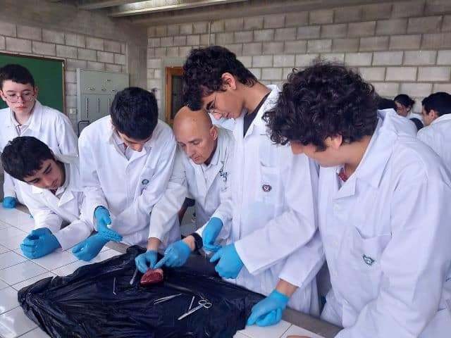 Heart Dissection